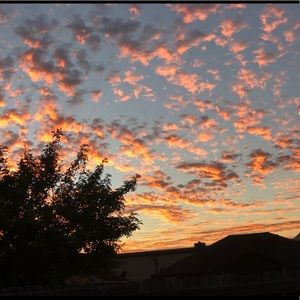 Meet your Posher, Hitzary